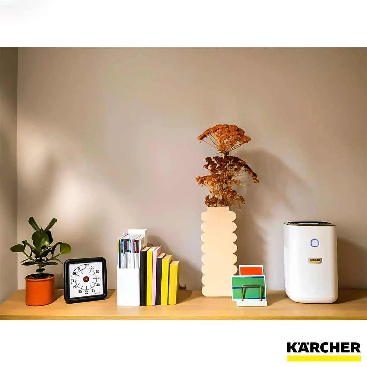 بهترین قیمت دستگاه تصفیه هوا AF 20 کارچر